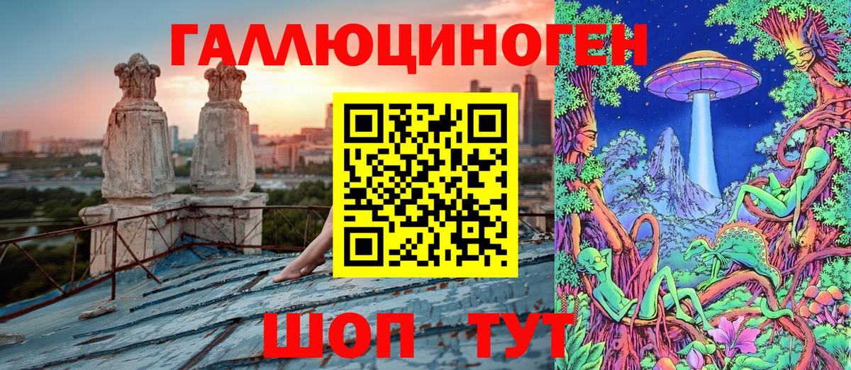 Галлюциногенные грибы Psilocybe Казань