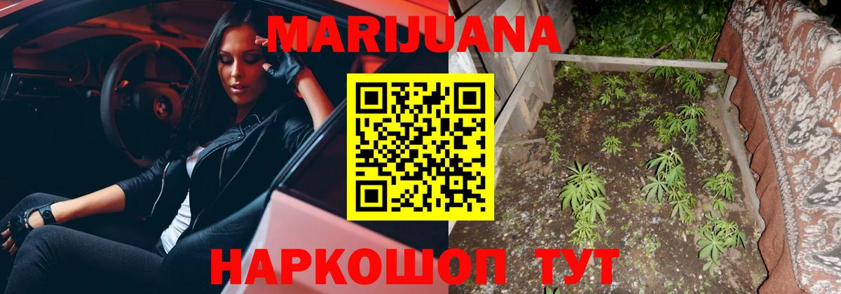 Канабис план Казань